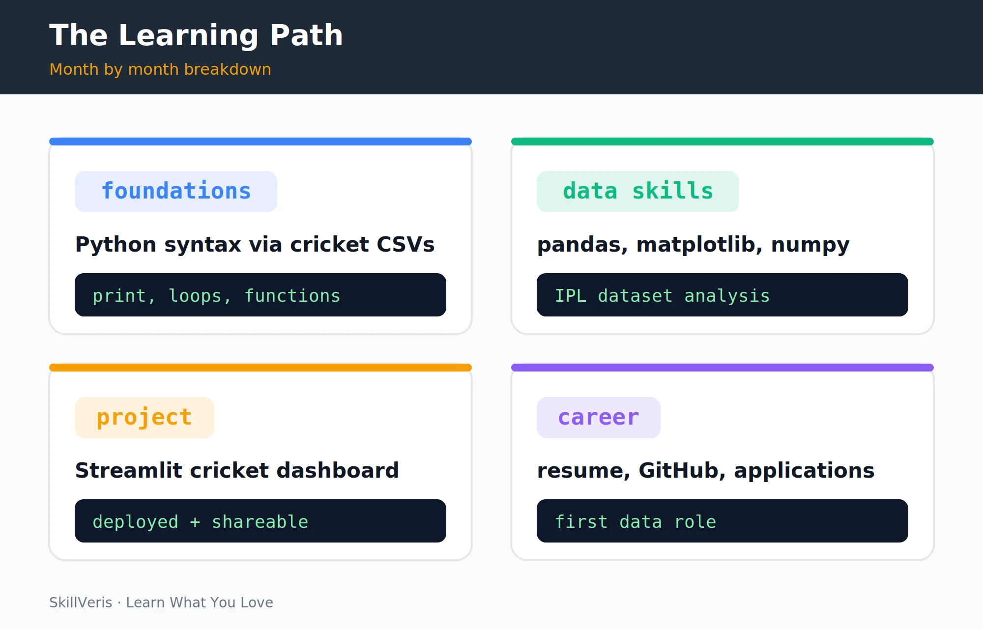 The four-phase learning journey from Python basics to first job offer.